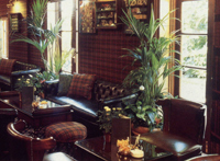 Salisbury Collection